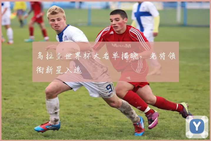 乌拉圭世界杯大名单揭晓,老将领衔新星入选