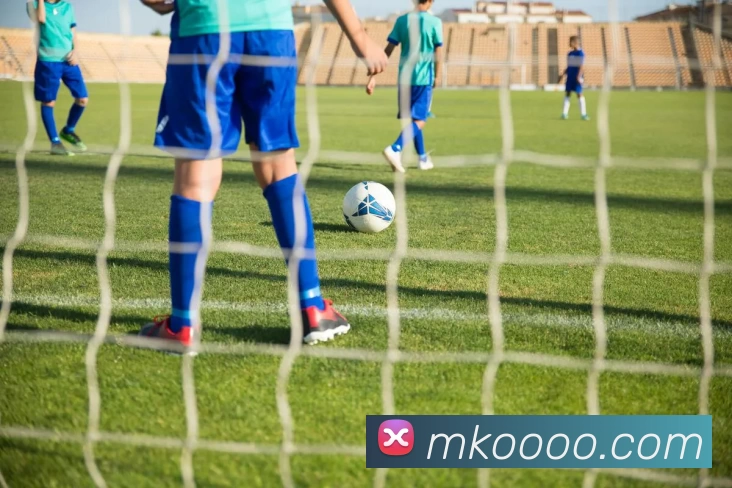 开云app官方在线入口 - 开云(中国)APP 封面图